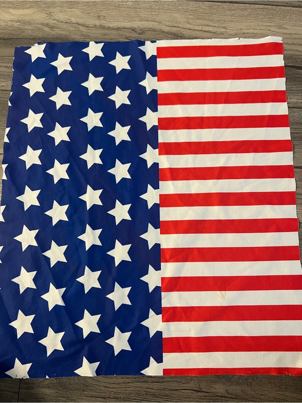 🌱🦢4 FOR $15!🦢🌱 USA bandana